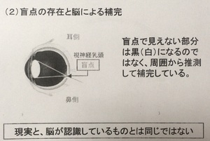 2017.6.15その2.jpg