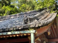 IMG_3437.JPG