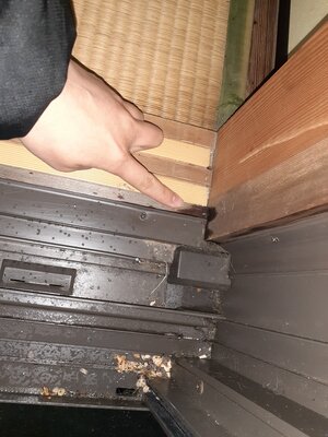 20220326_175710.jpg