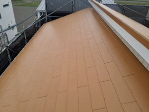 20250410_083654.jpg