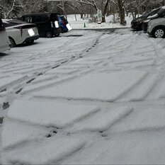 初詣に行きました♪