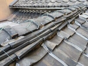 admin-ajax (2)2026.03.10.jpg