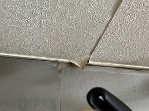 IMG_7707.jpg