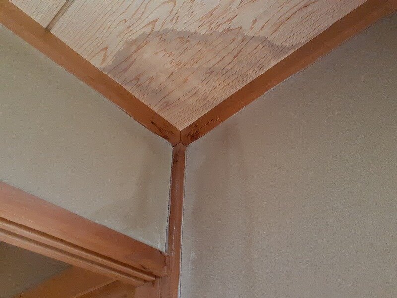20231117_130242.jpg